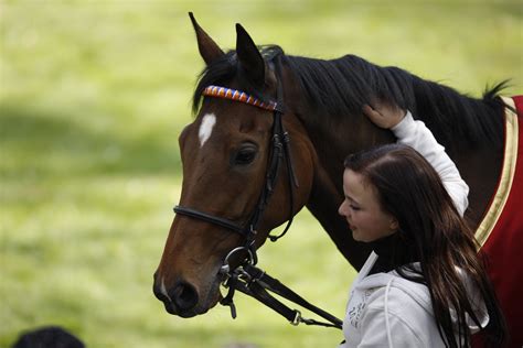 Danedream Deutscher Galopp