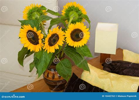 Sunflowers by the bed stock photo. Image of natural, cosy - 10442762