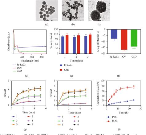 Figure 2 From Cancer Cell Membrane Biomimetic Mesoporous Nanozyme