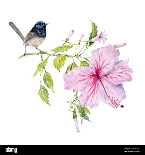 Watercolor Pink Hibiscus Flower With Green Leaves And A Bird Hand