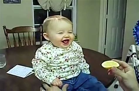 Babies eating lemons for the first time.