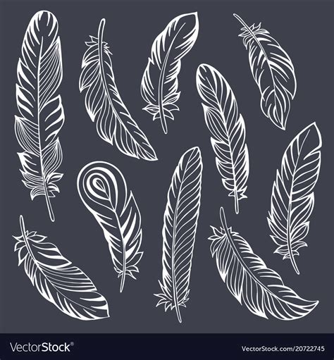 Indian Feather Set Hand Drawn Royalty Free Vector Image