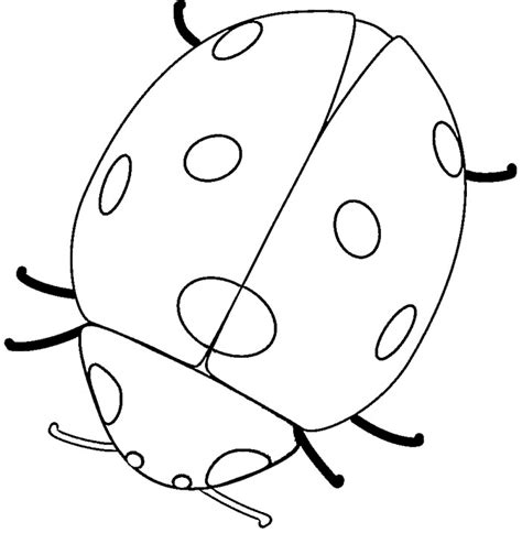 Ladybug Coloring Pages To Print - Coloring Home