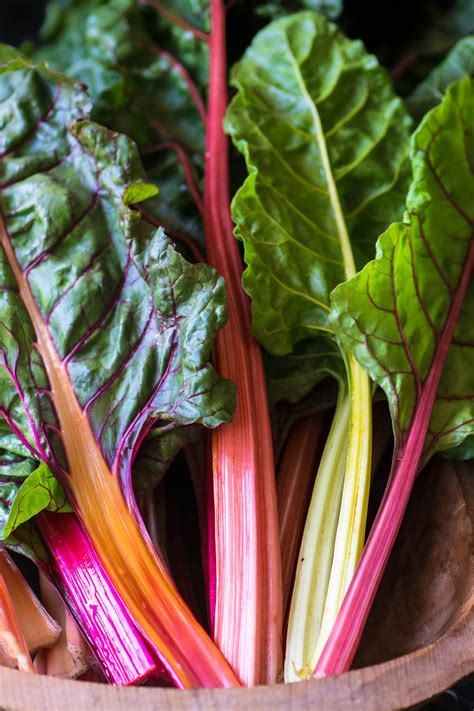 Rainbow Swiss Chard Avrom Farm