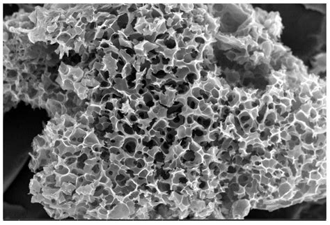 一种生物质多孔碳材料的制备方法及其在微生物燃料电池阳极的应用与流程 2