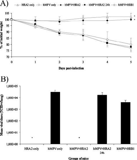 A Body Weight Loss In Groups Of Treated And Untreated Mice 6