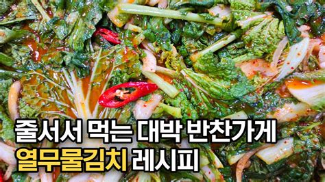 대박 반찬가게 사장님이 알려주는 열무물김치 맛있게 만드는 법‼️ 이렇게 만들어 드시면 여름 무더위가 싹 날라갑니다👍🏻💯 Youtube