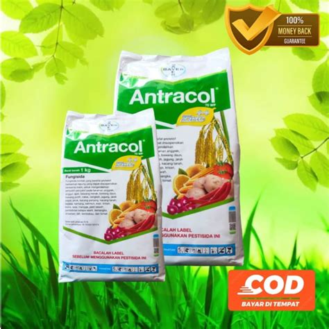 Jual Fungisida Antracol Wp Zinc Kg Shopee Indonesia