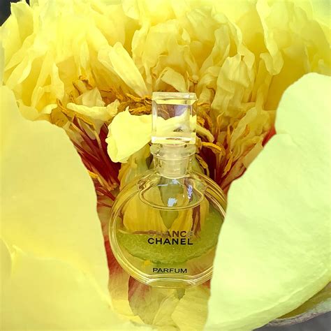 Chance Parfum Chanel perfume - a fragrance for women 2003