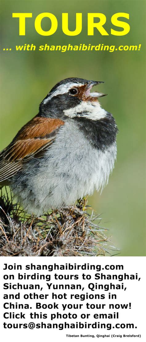 A Taxonomic Index To The Birds Of China In English And Chinese