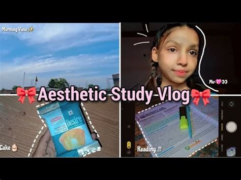 Aesthetic Study Vlog As A Cbse 6th Grader Productive Study Vlog