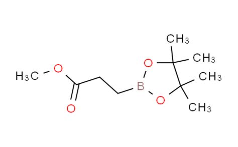 Methyl 3 4 4 5 5 Tetramethyl 1 3 2 Dioxaborolan 2 YL Propionate