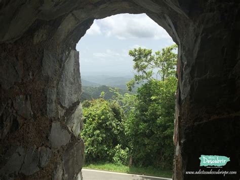 An Open Stone Tunnel With Trees In The Background