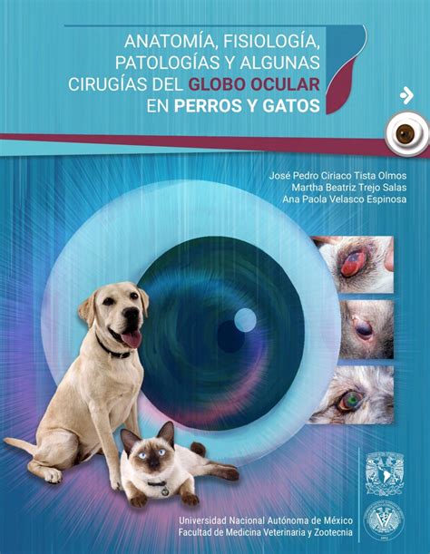 Anatom A Fisiol Gia Patolog As Y Algunas Cirug As Del Globo Ocular En