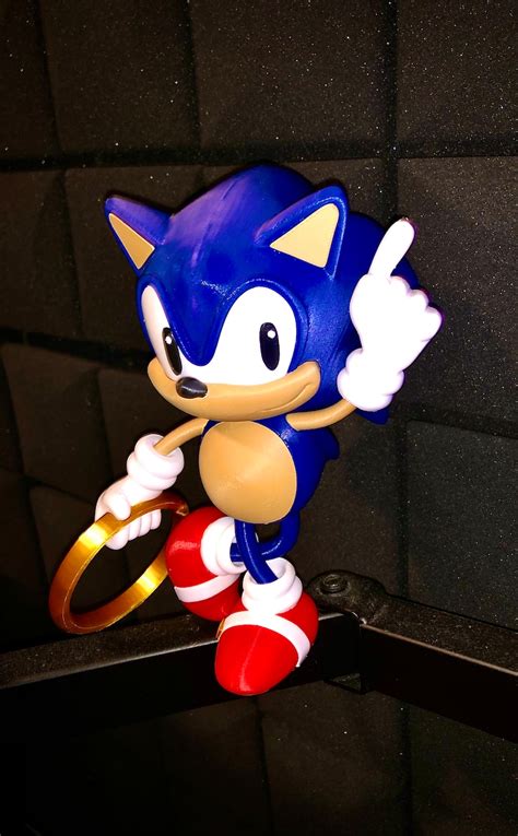 Custom Sonic the Hedgehog - Etsy