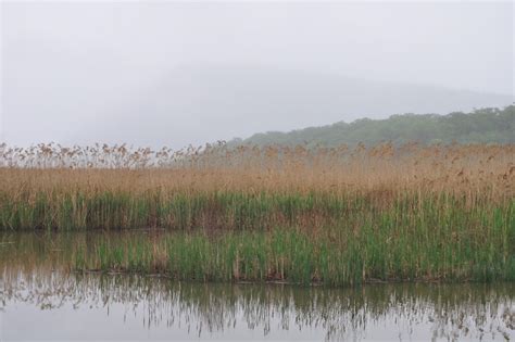 Harriman Hiker: Harriman State Park and Beyond: Iona Island