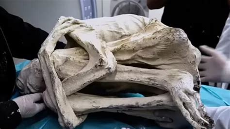 'Alien mummy' in Peru raises eyebrows - Jurnal Time