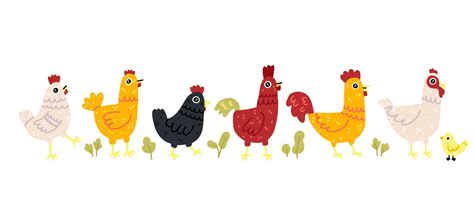 Chicken vector cartoon chick character hen and rooster. Vector set of cute birds on white ...