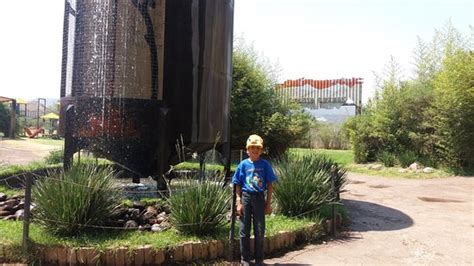 Reino Animal San Juan Teotihuacan Atualizado 2021 O Que Saber Antes