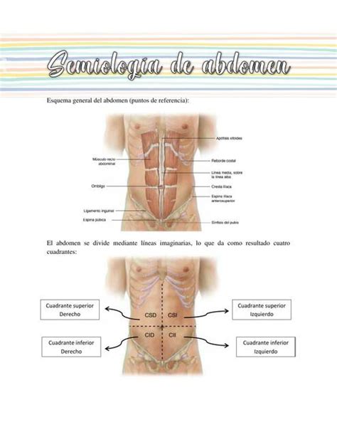 Semiolog A De Abdomen Iris Figueroa Udocz