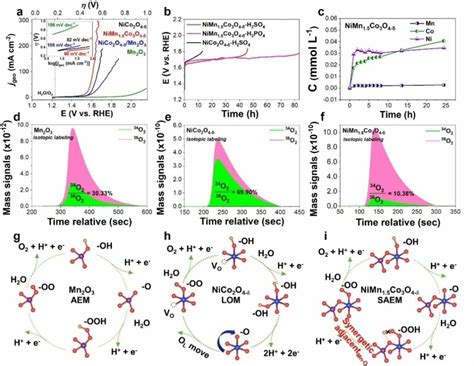 锰掺杂钴酸镍尖晶石氧化物稳定晶格氧促进酸性析氧反应 Angew Chem