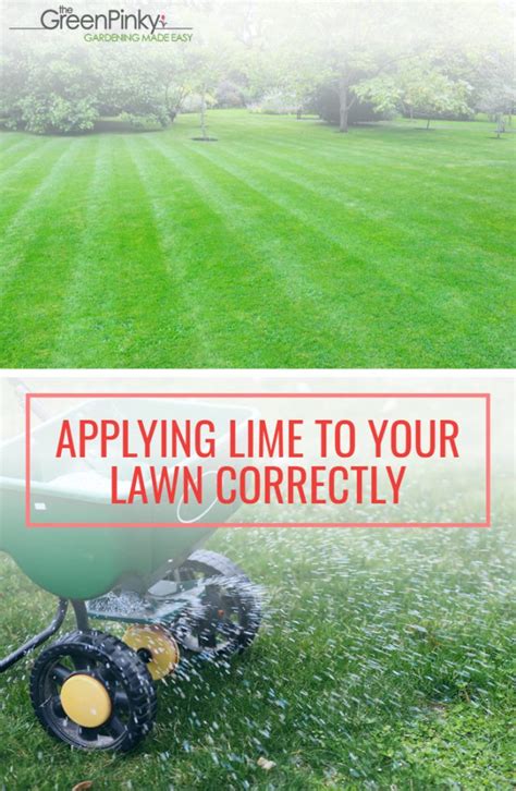 How to Apply Lime to Your Lawn? — Our Tips and Tricks