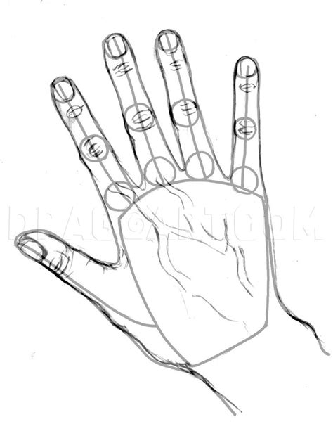 How To Draw Realistic Hands Draw Hands Step By Step Drawing Guide