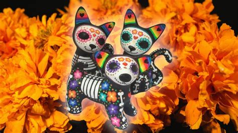 D A De Muertos Para Mascotas Es El De Octubre Cu Ndo Se Pone El