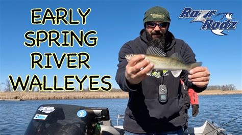 Early Spring River Walleyes Walleye Riverfishing Youtube