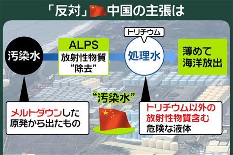 177 今週にも“処理水”海洋放出 理解どこまで？｜プライチ｜news Zero｜日本テレビ