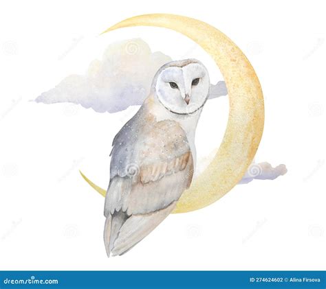 Watercolor Illustration Of Owl With Moon And Clouds Isolated Stock