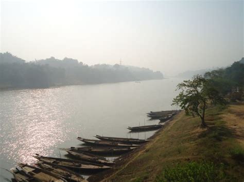 The mystic jungles of Pobitora Wildlife Sanctuary, Assam - Ghumakkar ...