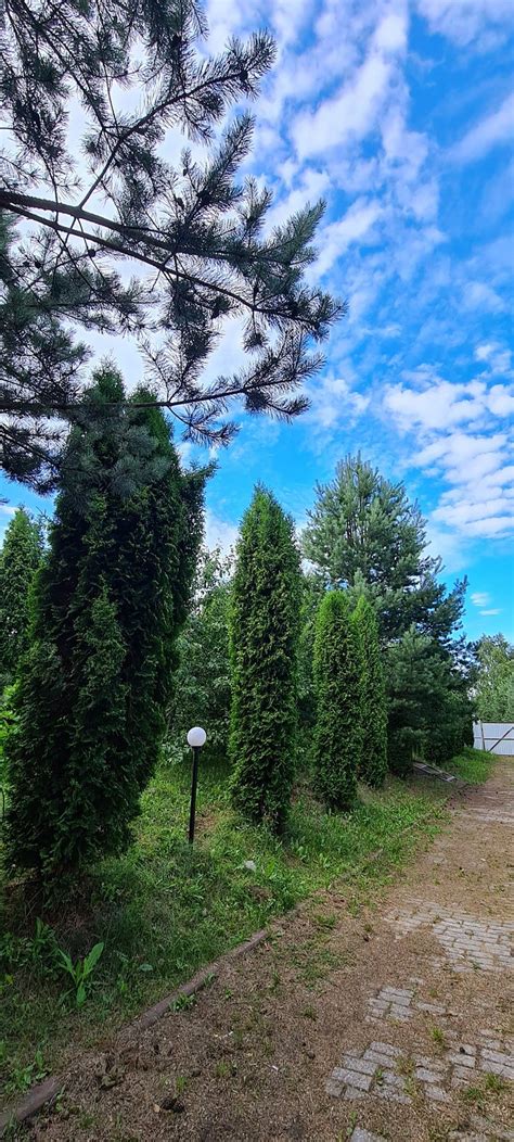 PODSNEZHNIKI TOURIST BASE - Reviews (Smolensk, Russia)