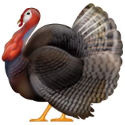 🦃 Turkey Emoji (U+1F983)