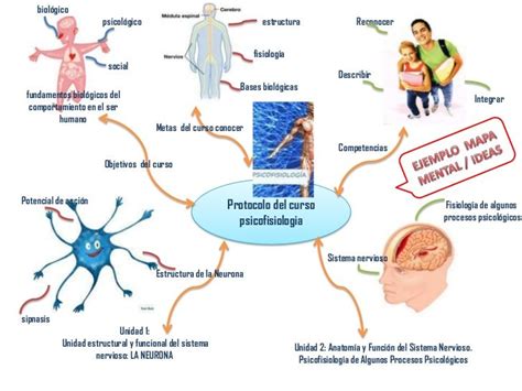 Fundamentos de la Psicofisiología Mind Map