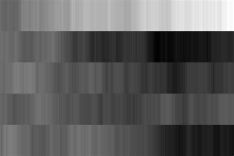 greyscale random walk  left   maple mathematica pi