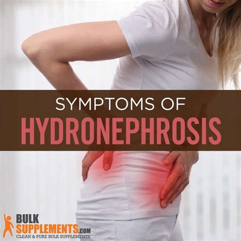 Hydronephrosis: Symptoms, Causes & Treatment | BulkSupplements.com