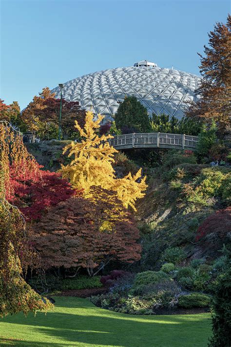 Fall Foliage at Queen Elizabeth Park Photograph by Michael Russell - Pixels