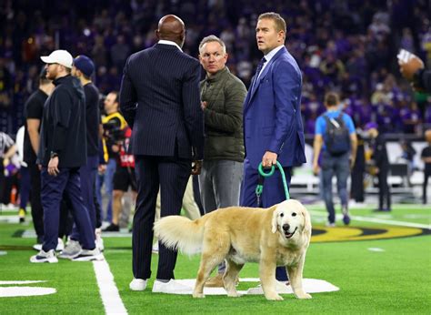 Kirk Herbstreit tearfully paid tribute to his late dog, Ben, on College ...