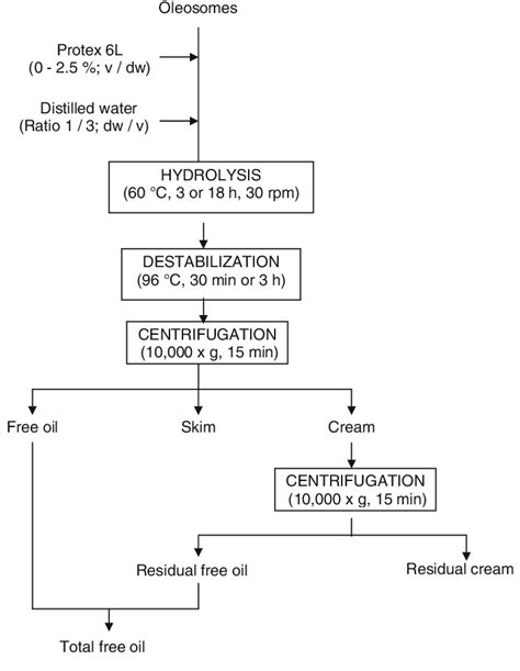 Flow Diagram Of The Enzyme Assisted Aqueous Extraction Procedure For