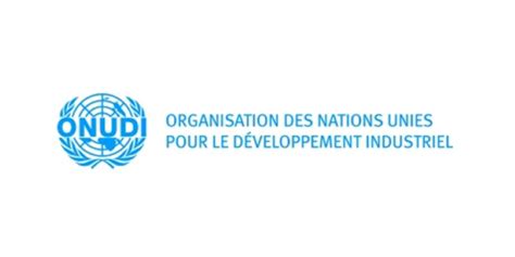 Lorganisation Des Nations Unies Pour Le D Veloppement Industriel