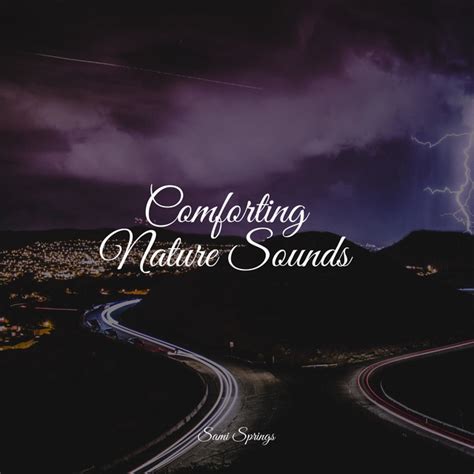 Comforting Nature Sounds Album By Rainforest Ambientalism Ambient