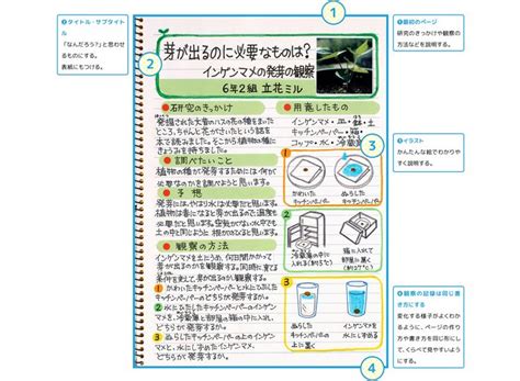 観察の例｜まとめ方のコツ｜自由研究プロジェクト｜学研キッズネット