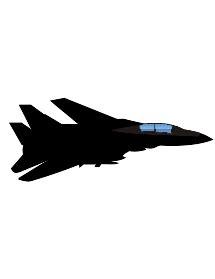 Grumman F-14 Tomcat aircraft vector image | Public domain vectors