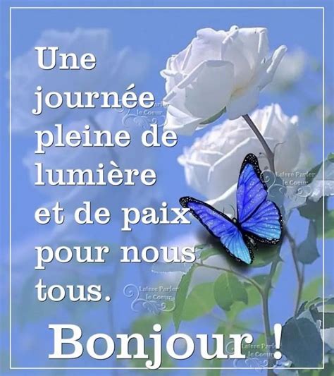 A Blue Butterfly Sitting On Top Of A White Rose With The Words Bonjou