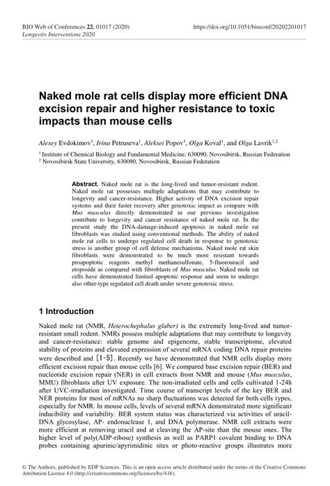 PDF Naked Mole Rat Cells Display More Efficient DNA Excision Repair And Higher Resistance To