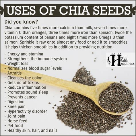 Herbs Health And Happiness Uses Of Chia Seeds Herbs Health And Happiness