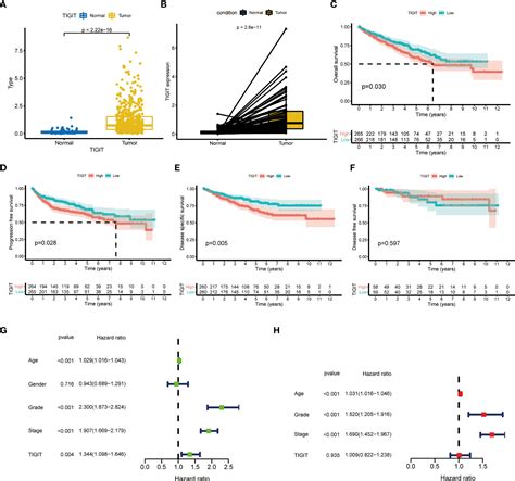 Frontiers Integrated Bioinformatic Analysis And Cell Line Experiments