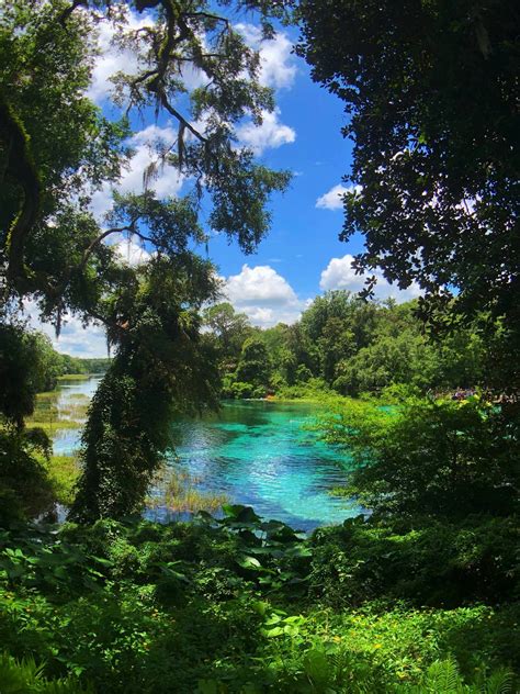 Rainbow Springs, Florida : travel