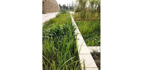 Low Maintenance Eco Campus Vanke Research Center 2014 Asla